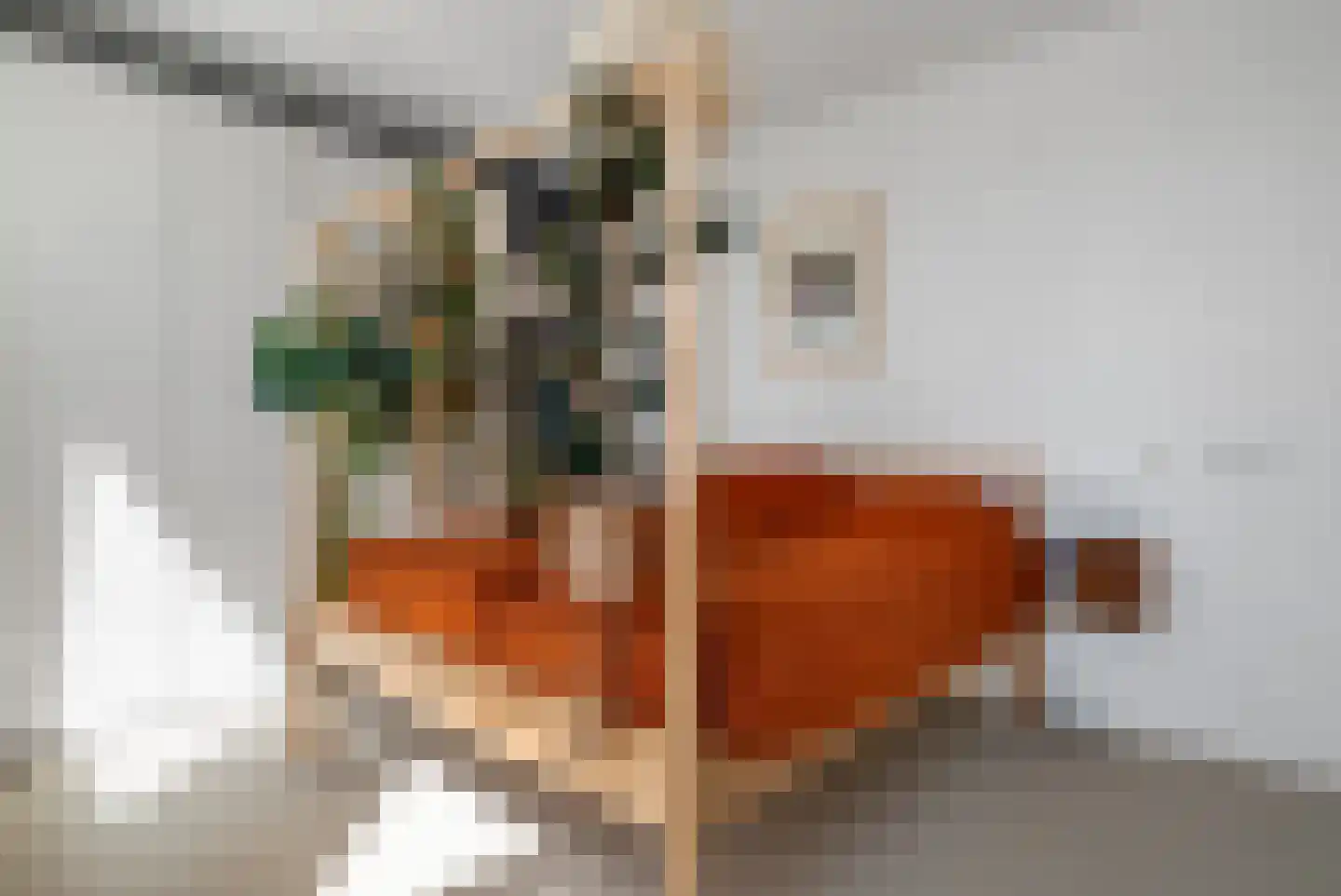 Fanny Blankers-Koenlaan 22 Amsterdam thumbnail 25
