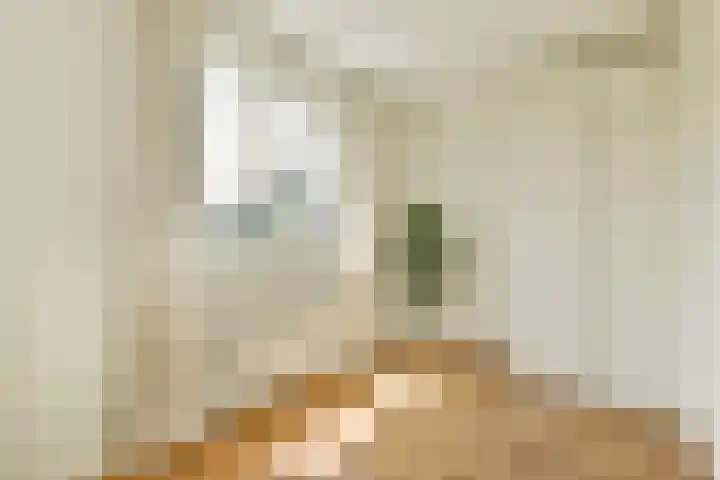 Fanny Blankers-Koenlaan 30 Amsterdam thumbnail 24