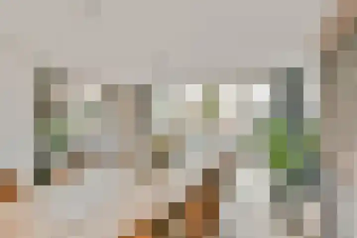 Fanny Blankers-Koenlaan 394 Hoofddorp thumbnail 16