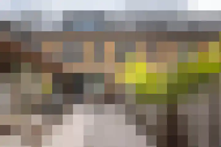 Fanny Blankers-Koenlaan 51 Hoofddorp thumbnail 21