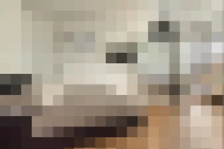 Fanny Blankers-Koenlaan 51 Hoofddorp thumbnail 35