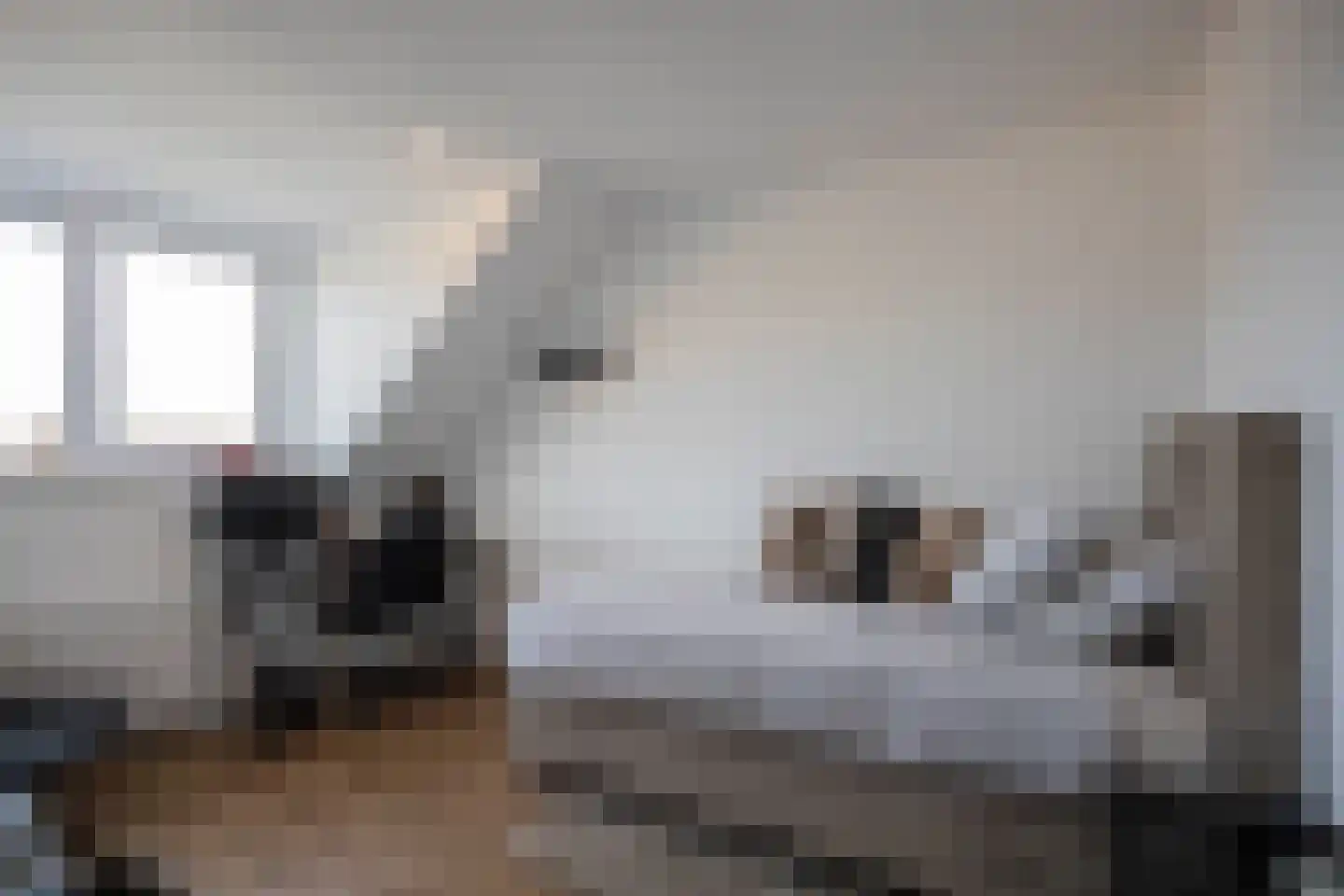 Fanny Blankers-Koenlaan 89 Hoofddorp thumbnail 37