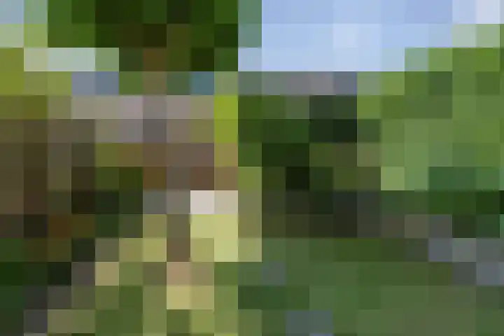 Fanny Blankers-Koenlaan 95 Hoofddorp thumbnail 14