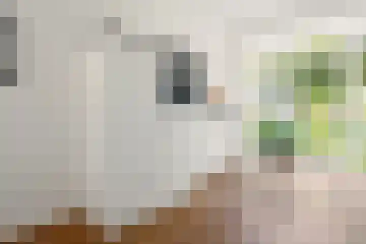 Fanny Blankers-Koenlaan 95 Hoofddorp thumbnail 21