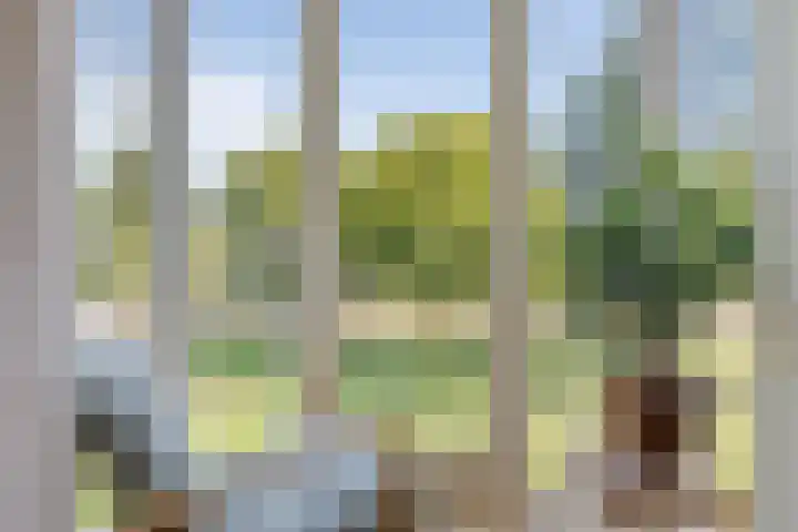 Fanny Blankers-Koenlaan 95 Hoofddorp thumbnail 27