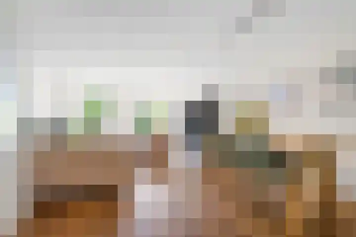Fanny Blankers-Koenlaan 95 Hoofddorp thumbnail 5