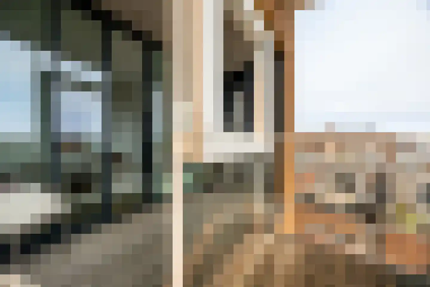 Fanny Blankers-Koenplein 19 Haarlem thumbnail 17