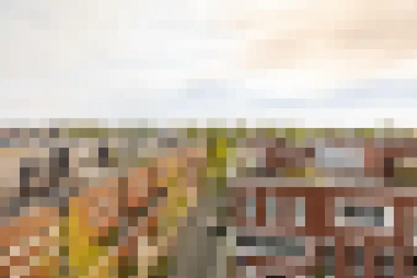 Fanny Blankers-Koenplein 19 Haarlem thumbnail 19