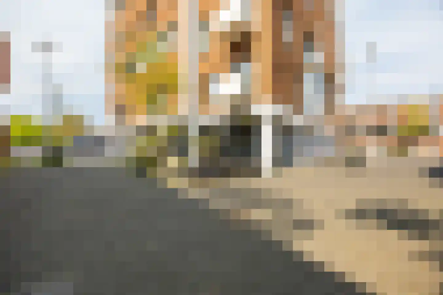 Fanny Blankers-Koenplein 19 Haarlem thumbnail 35