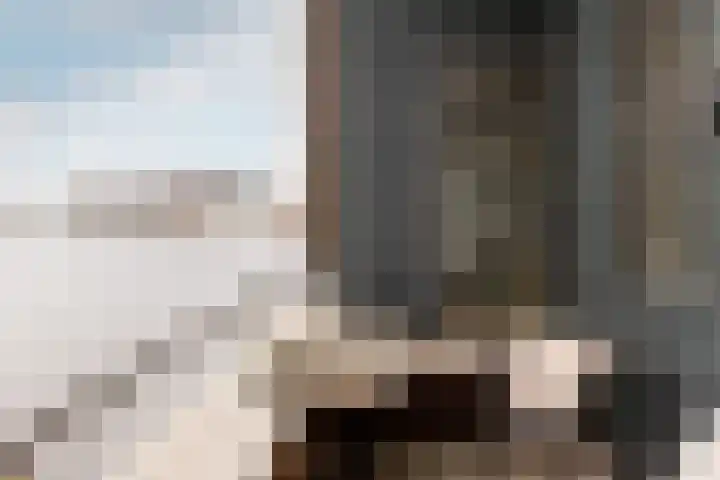 Fanny Blankers-Koenplein 5 Haarlem thumbnail 21