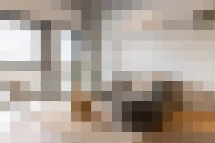 Fanny Blankers-Koenplein 5 Haarlem thumbnail 8