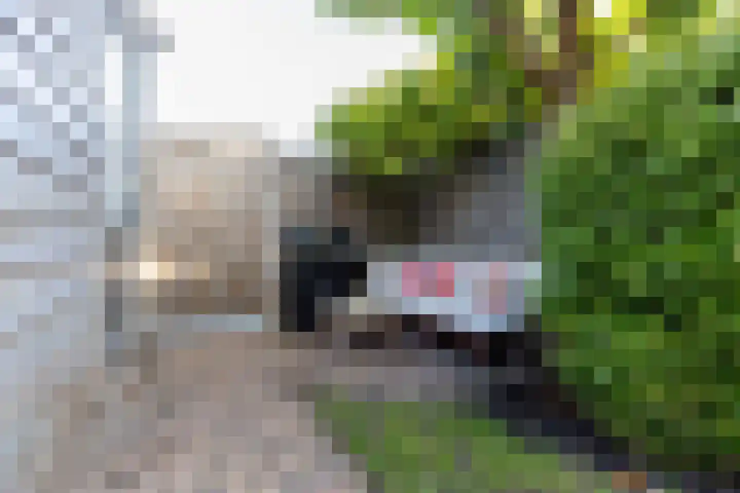 Fanny Blankers-Koenstraat 34 Weesp thumbnail 11