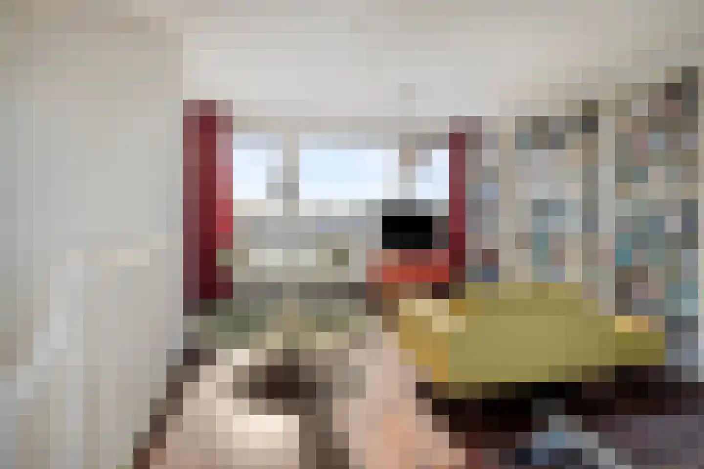 Fanny Blankers-Koenstraat 59 Arnhem thumbnail 24