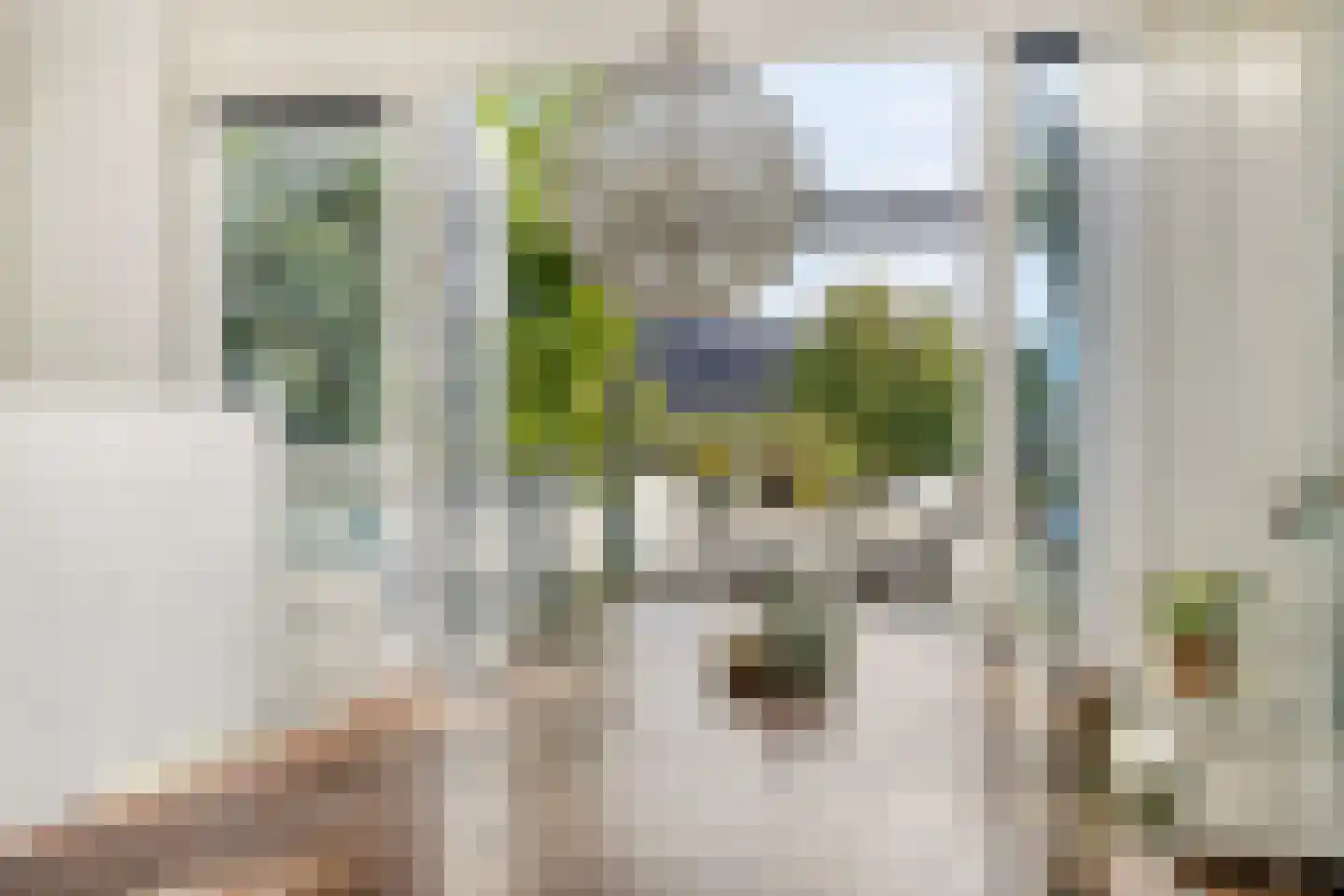 Fanny Blankers-Koenstraat 59 Arnhem thumbnail 9