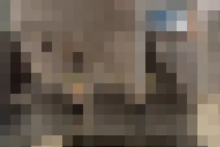 Fanny Blankers-Koenstraat 7 Alphen aan den Rijn thumbnail 24