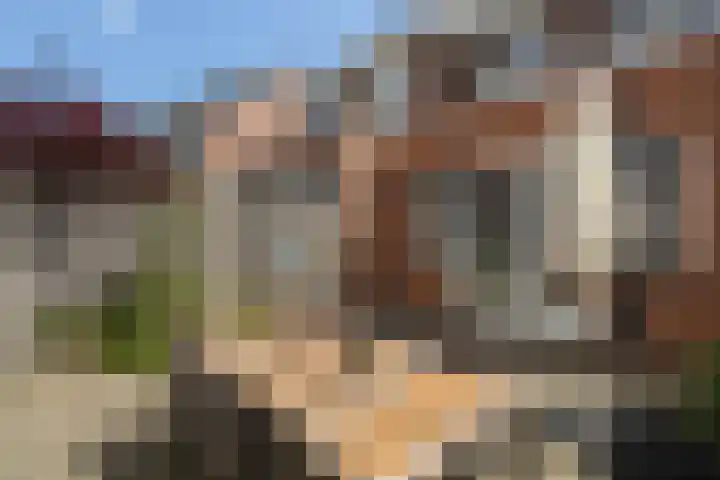Fanny Blankers-Koenstraat 7 Alphen aan den Rijn thumbnail 26