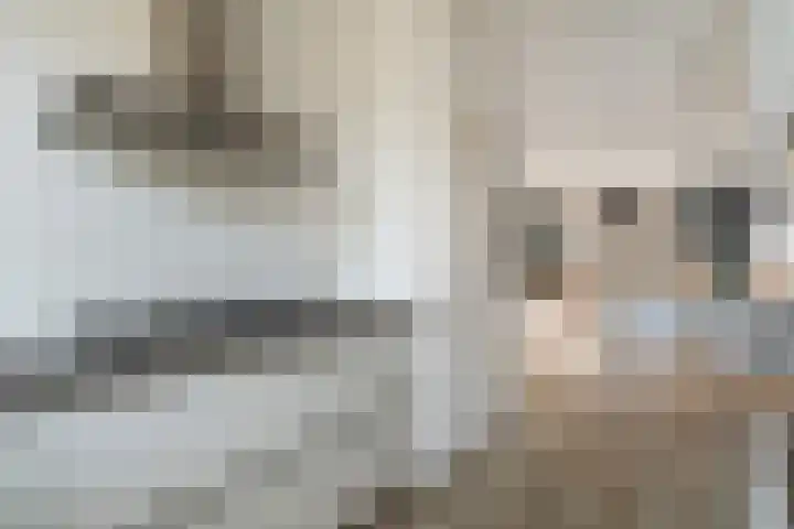 Fanny Blankers-Koenstraat 7 Alphen aan den Rijn thumbnail 33