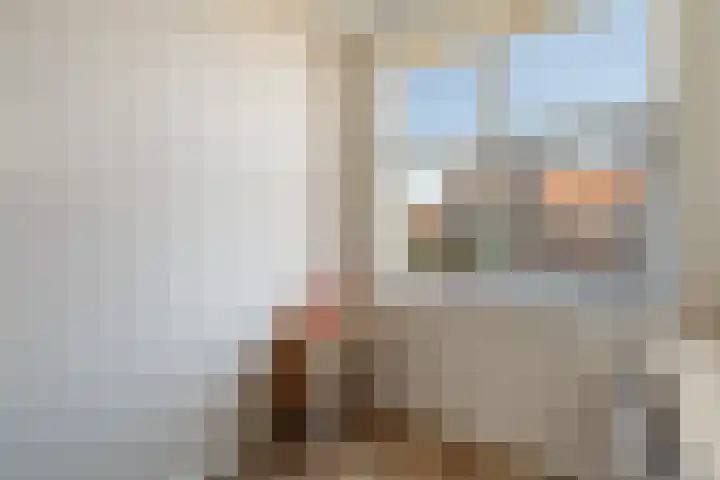 Fanny Blankers-Koenstraat 7 Alphen aan den Rijn thumbnail 42