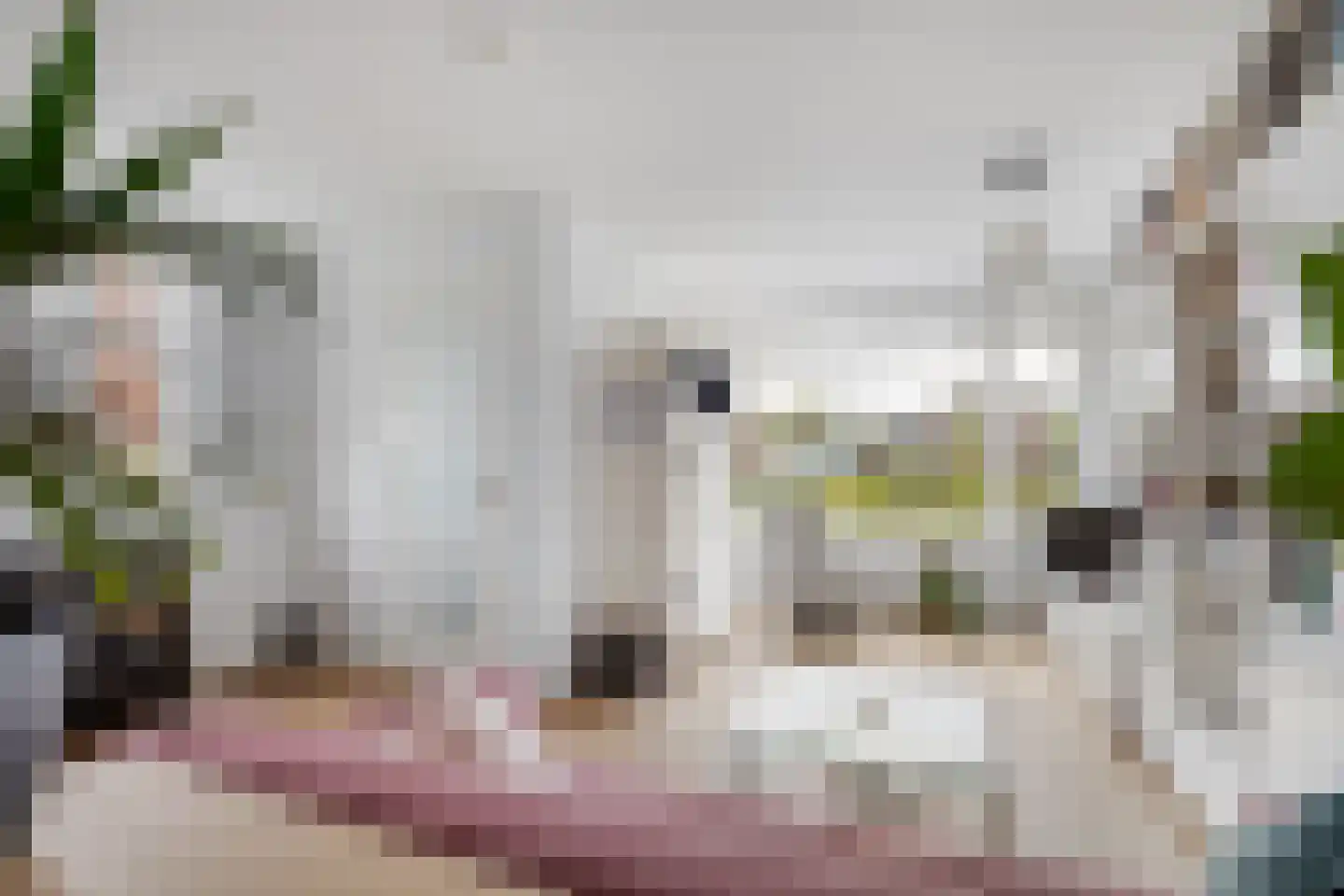 Faradaypad 26 Leiden thumbnail 5
