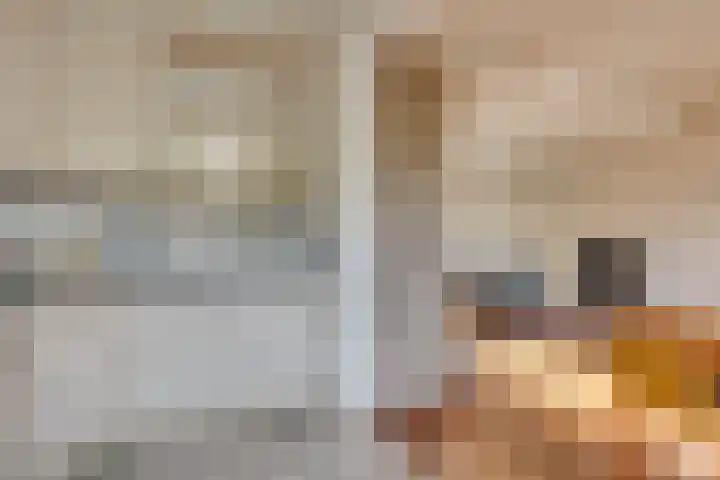 Faraodreef 16 Utrecht thumbnail 10