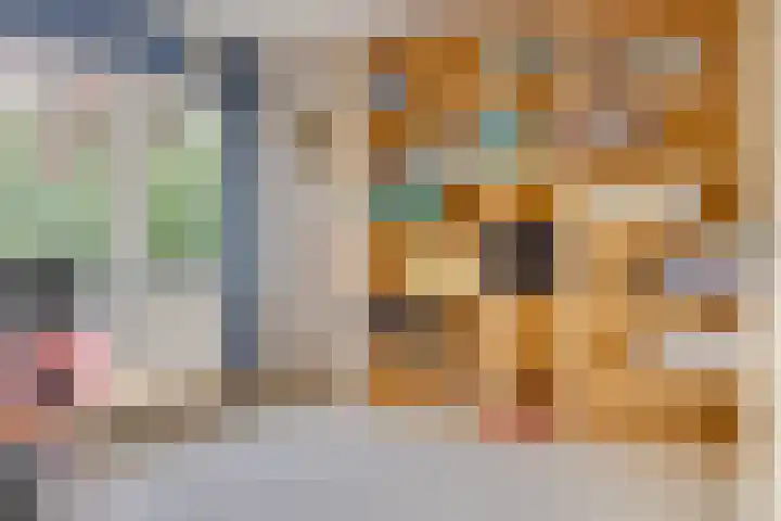 Faraodreef 16 Utrecht thumbnail 21
