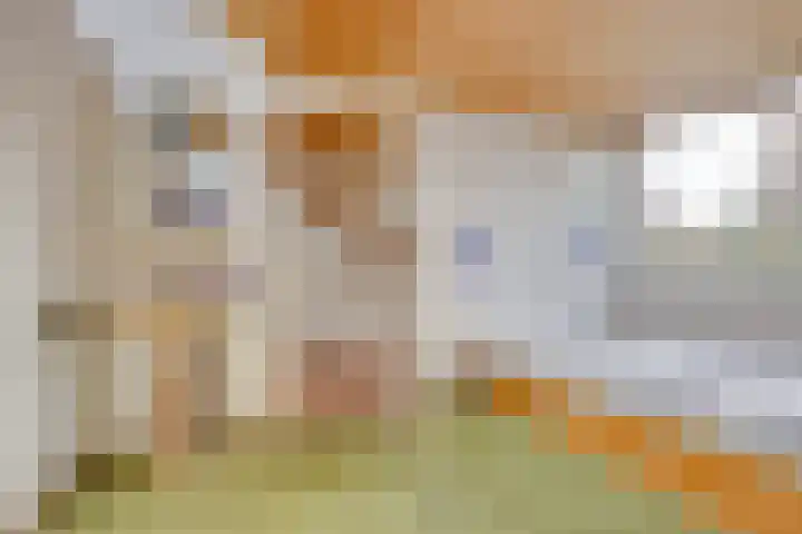 Faraodreef 16 Utrecht thumbnail 30
