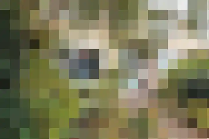 Faraodreef 16 Utrecht thumbnail 31