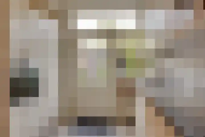 Faraodreef 16 Utrecht thumbnail 8
