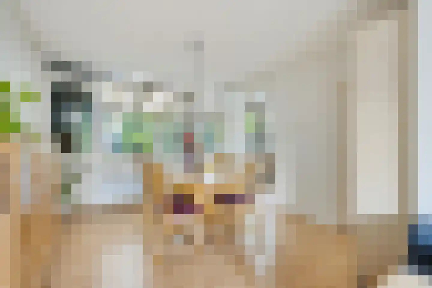Faraodreef 3 Utrecht thumbnail 13