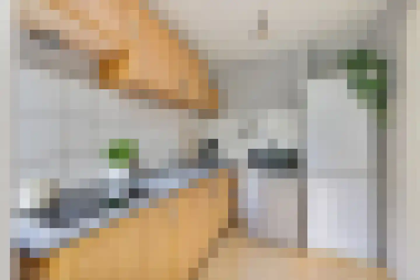 Faraodreef 3 Utrecht thumbnail 17