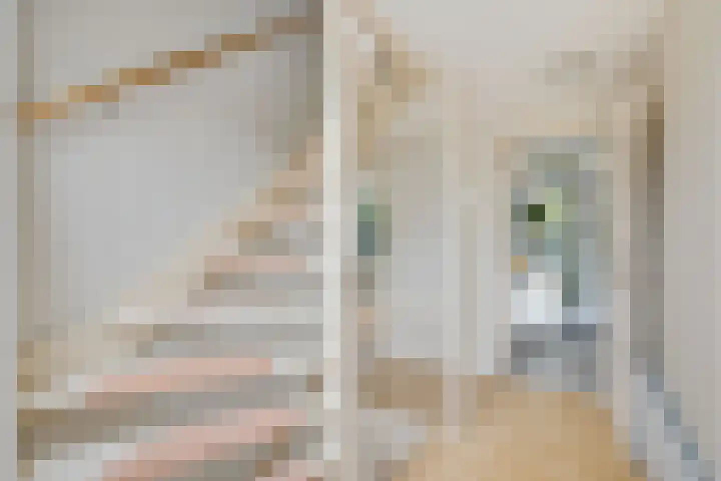 Faraodreef 3 Utrecht thumbnail 20