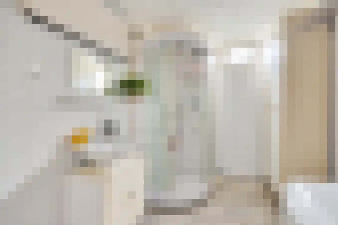 Faraodreef 3 Utrecht thumbnail 24