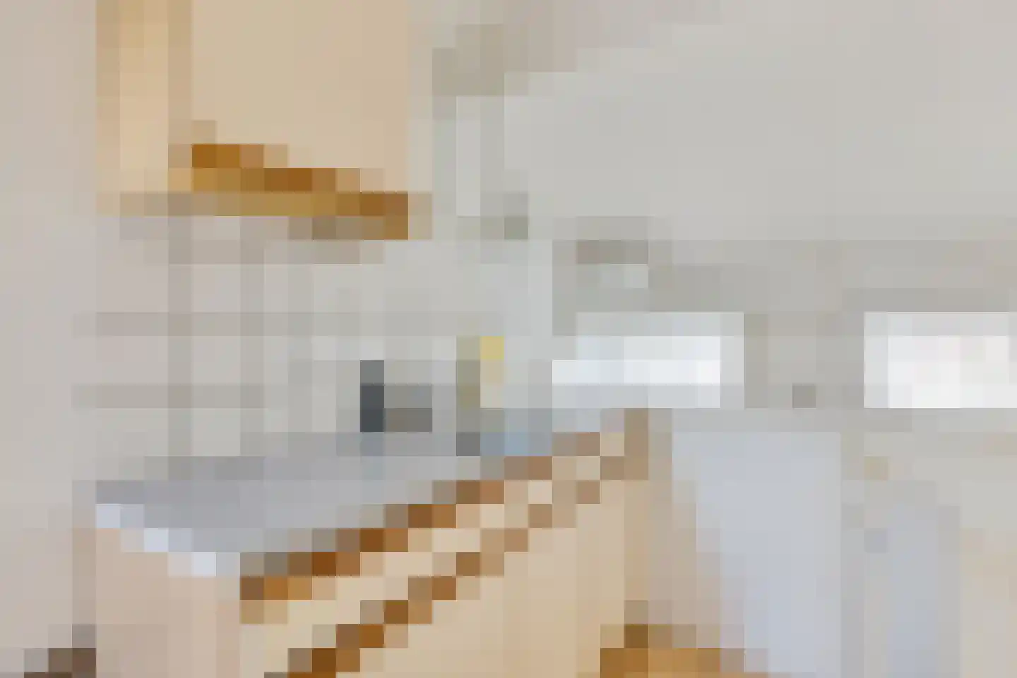 Faraodreef 3 Utrecht thumbnail 34