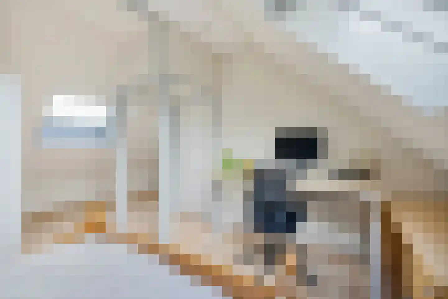 Faraodreef 3 Utrecht thumbnail 37