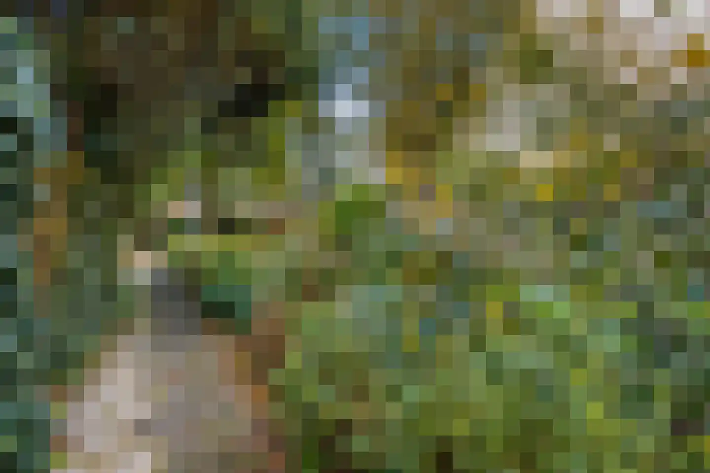 Faraodreef 3 Utrecht thumbnail 48