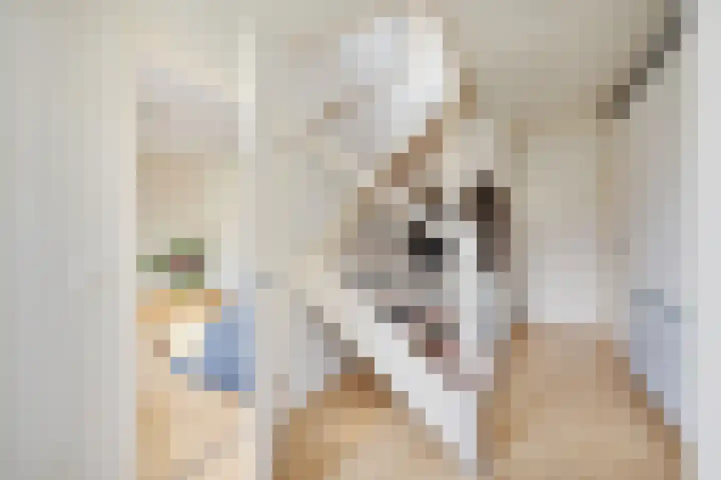 Faraodreef 3 Utrecht thumbnail 7