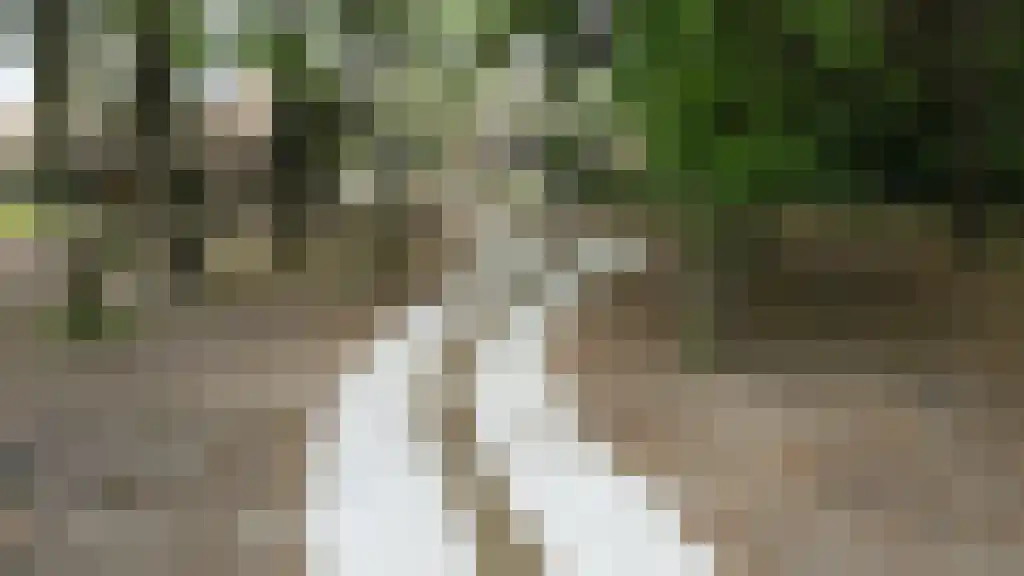 Farensbach hof 6 Voorschoten thumbnail 6