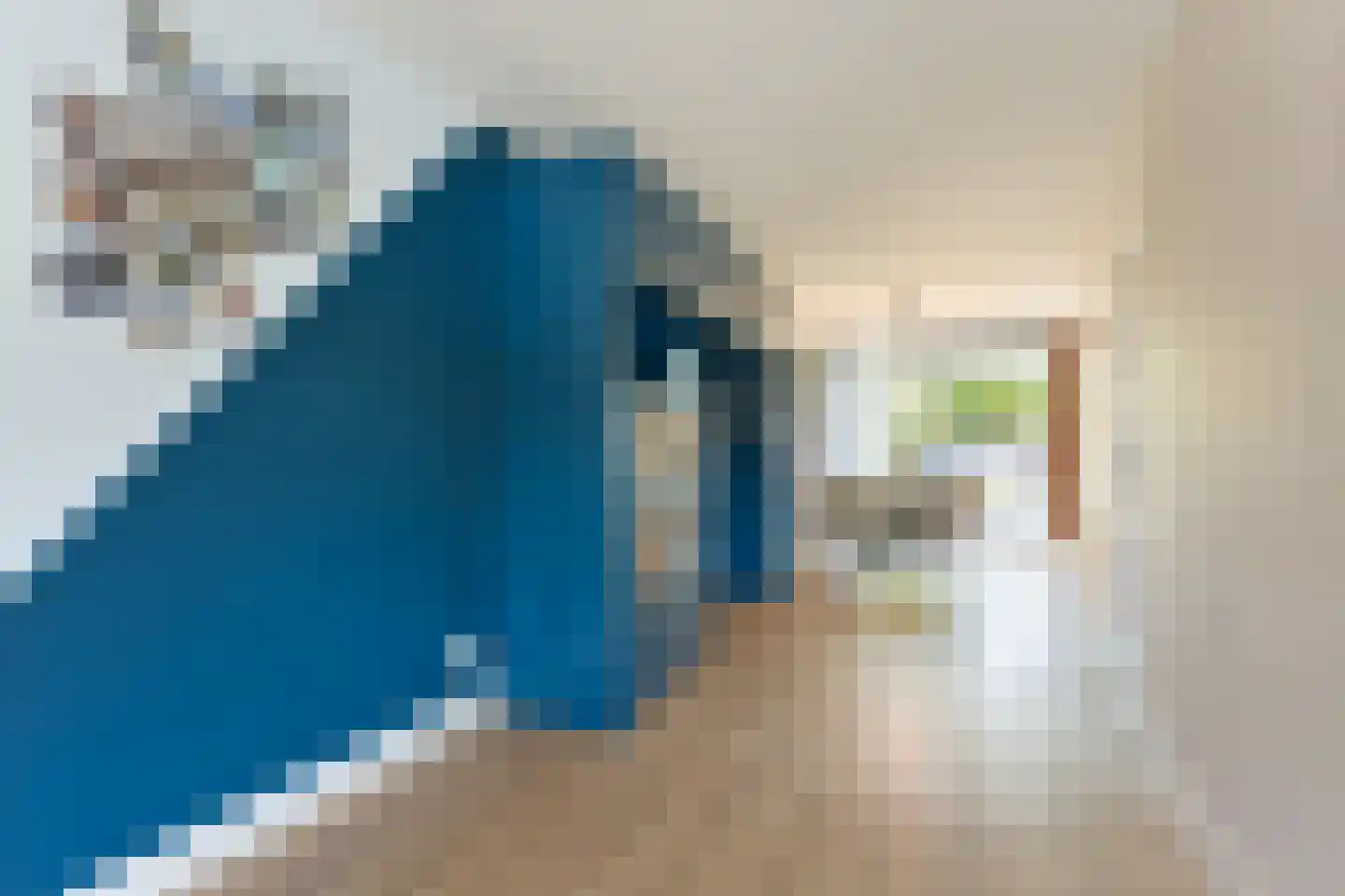 Farin 27 Geldrop thumbnail 11