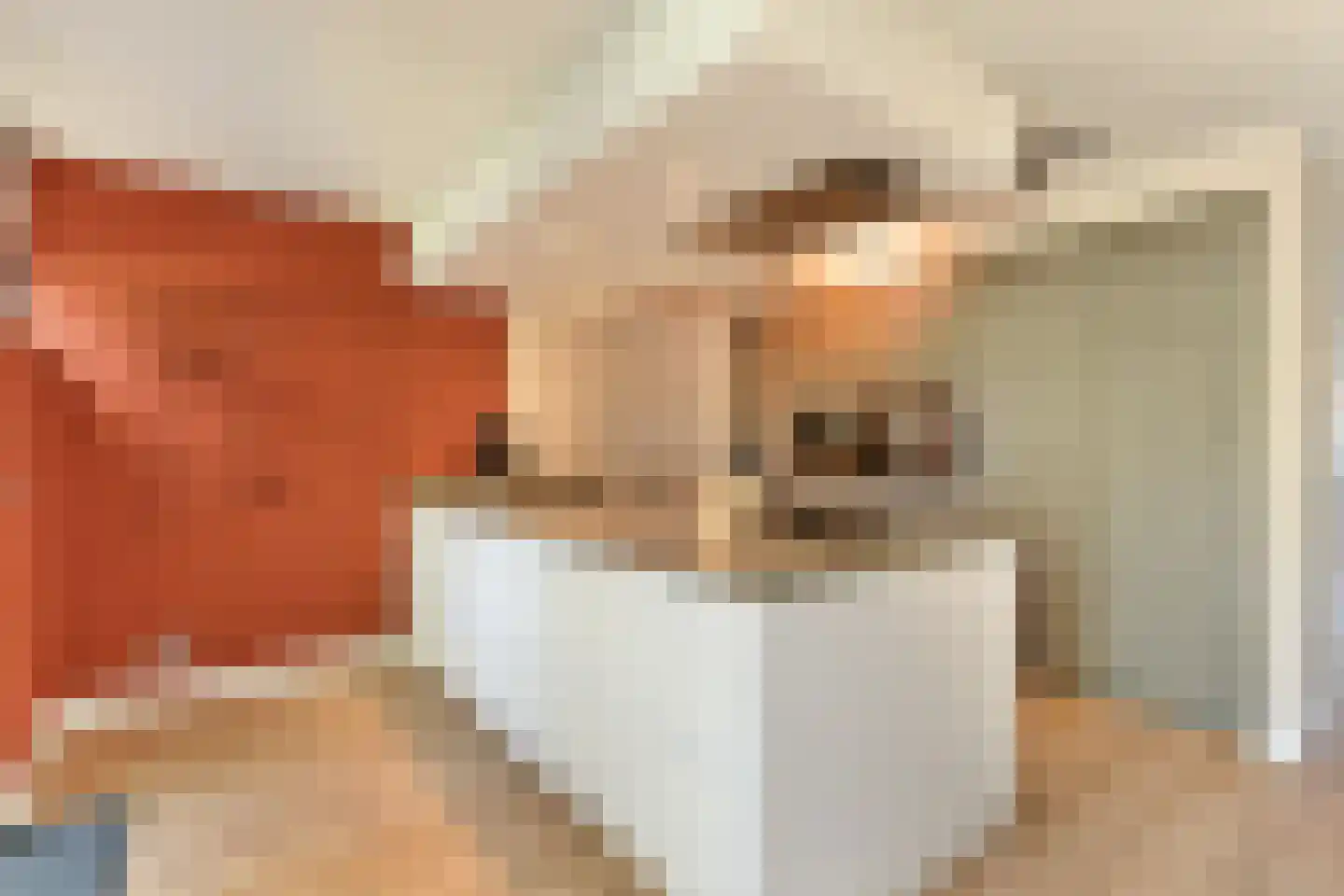 Farin 27 Geldrop thumbnail 15