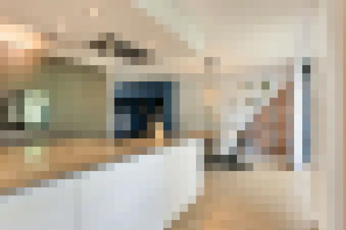 Farin 27 Geldrop thumbnail 17