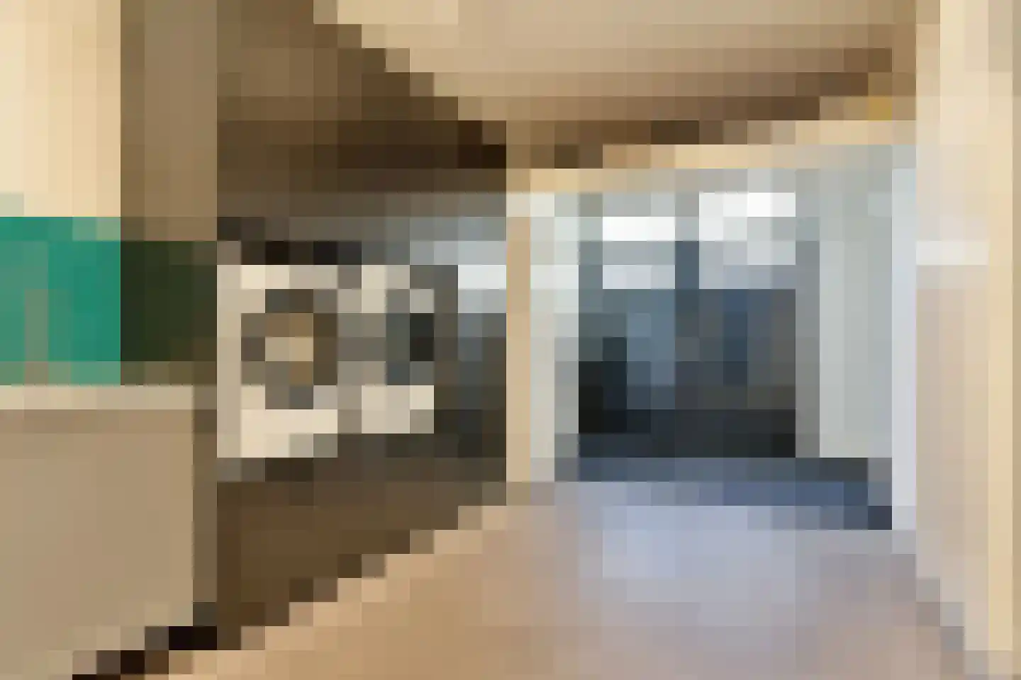 Farin 27 Geldrop thumbnail 20