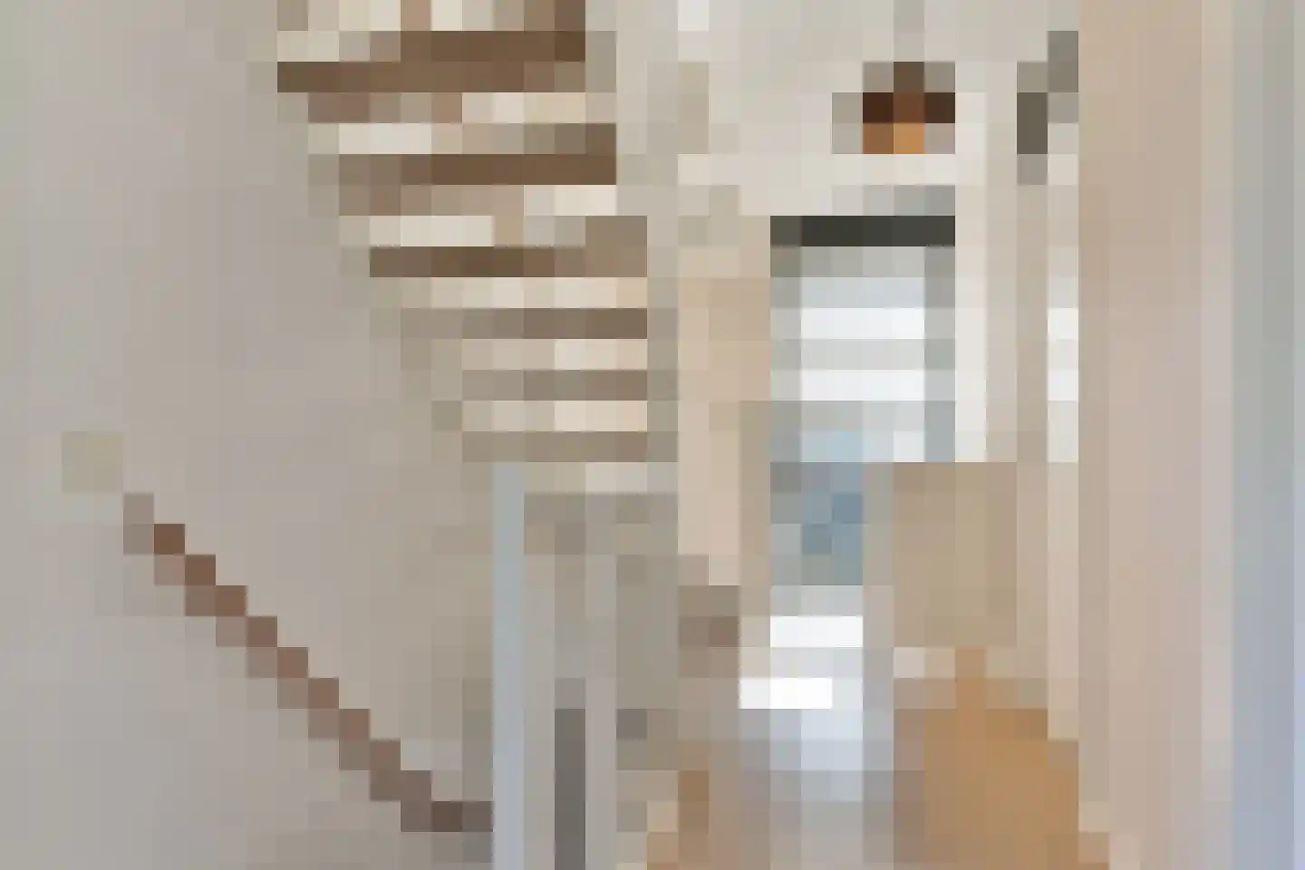 Farin 27 Geldrop thumbnail 23