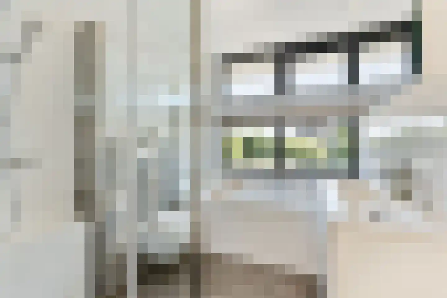 Farin 27 Geldrop thumbnail 32