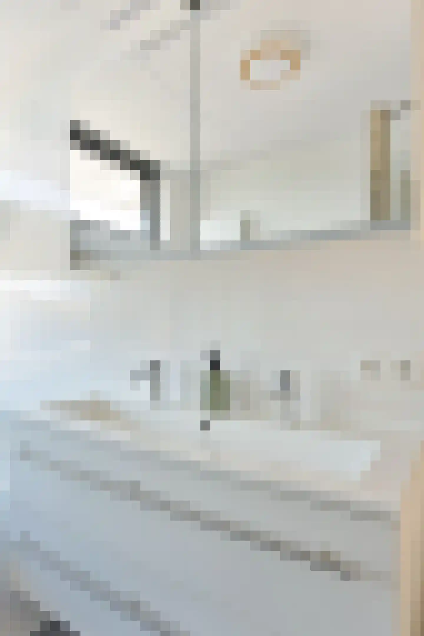 Farin 27 Geldrop thumbnail 33