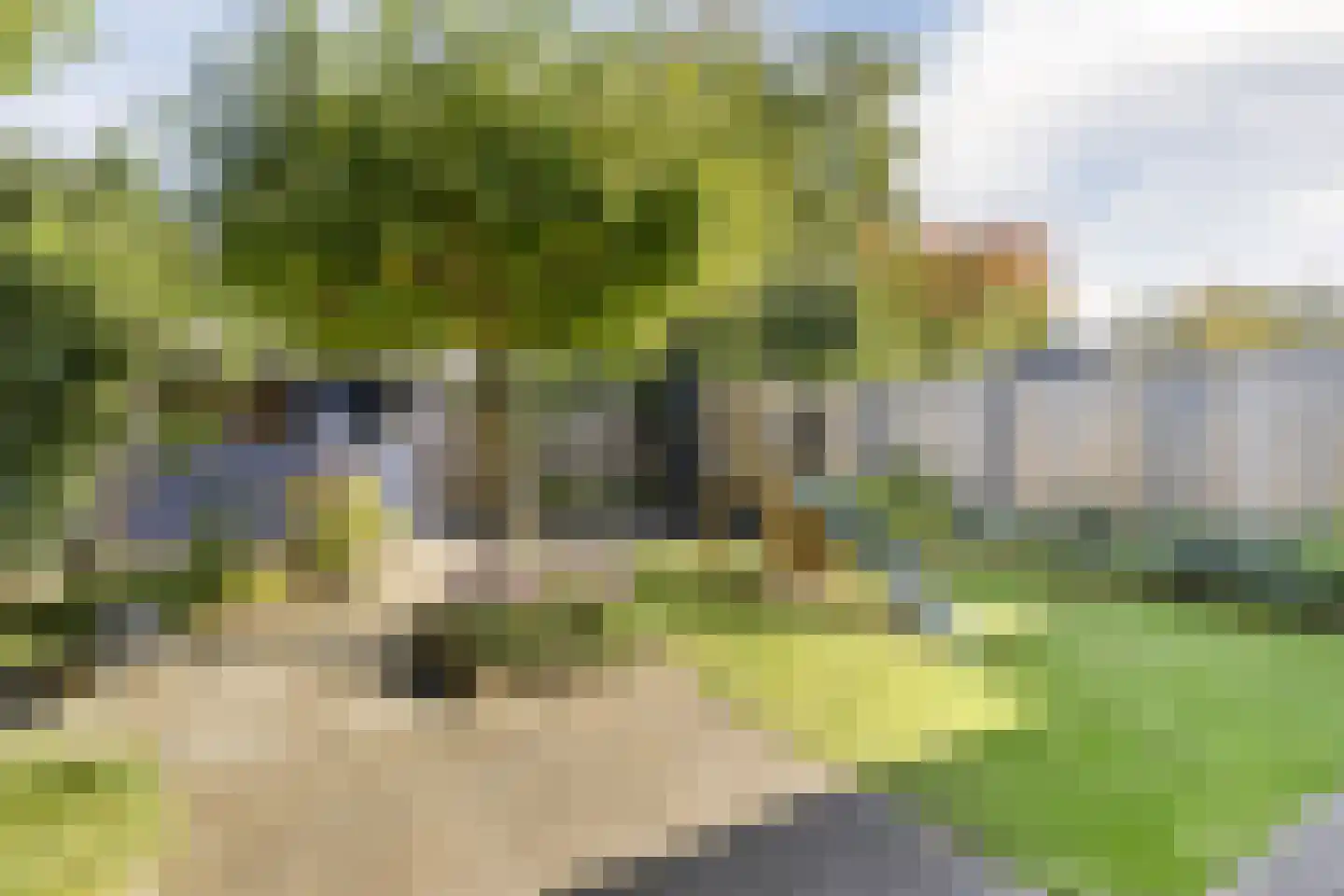 Farin 27 Geldrop thumbnail 50