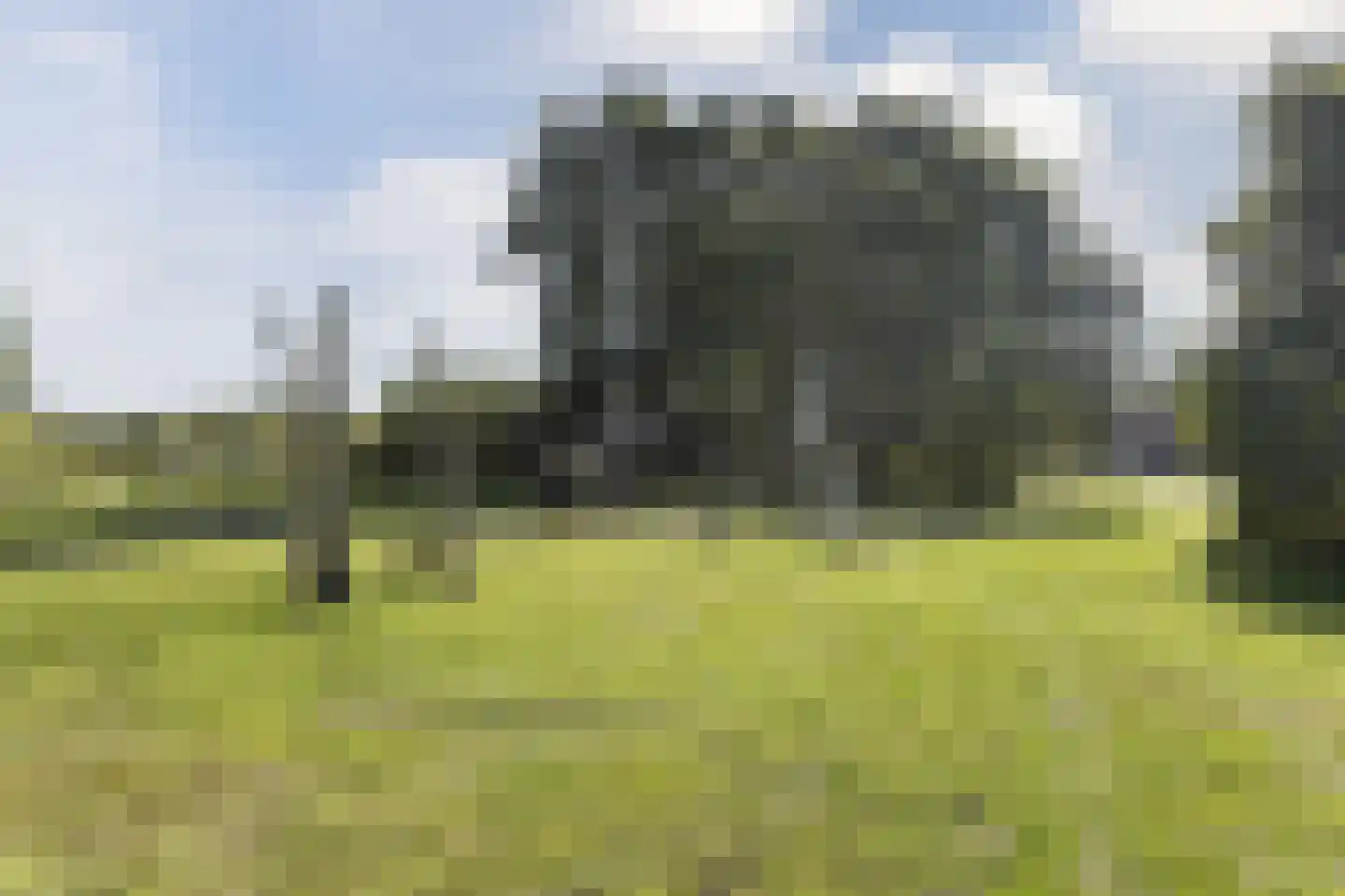 Farin 27 Geldrop thumbnail 57