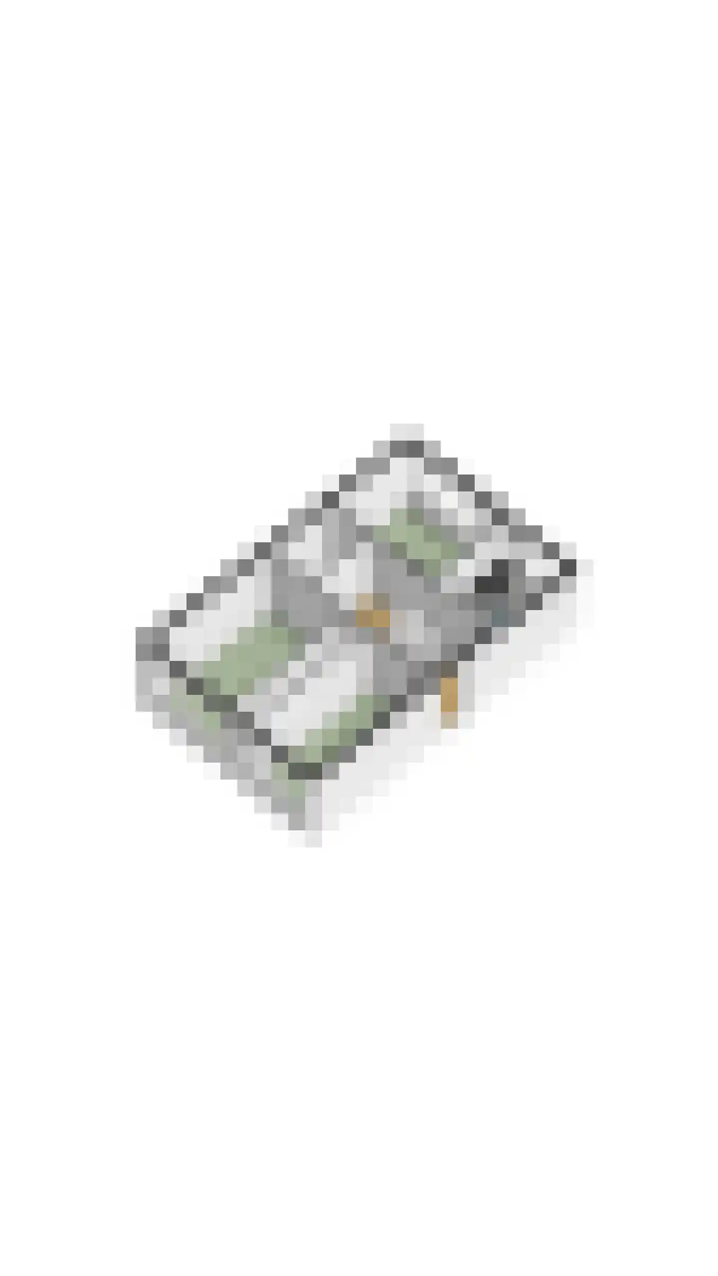 Farin 27 Geldrop thumbnail 63