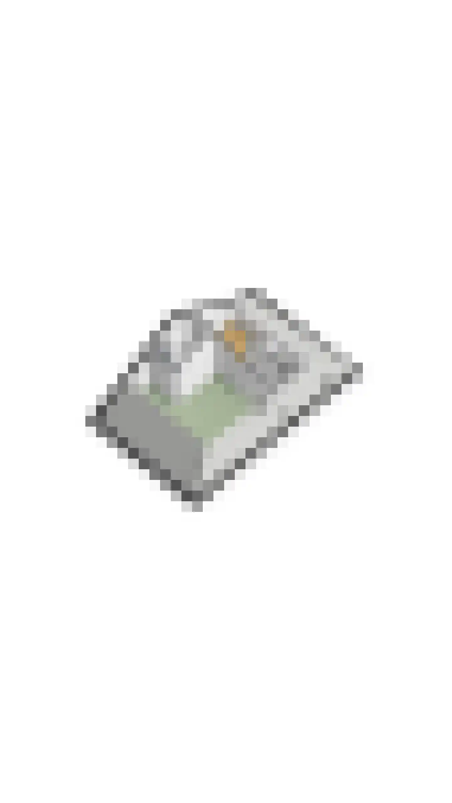 Farin 27 Geldrop thumbnail 64