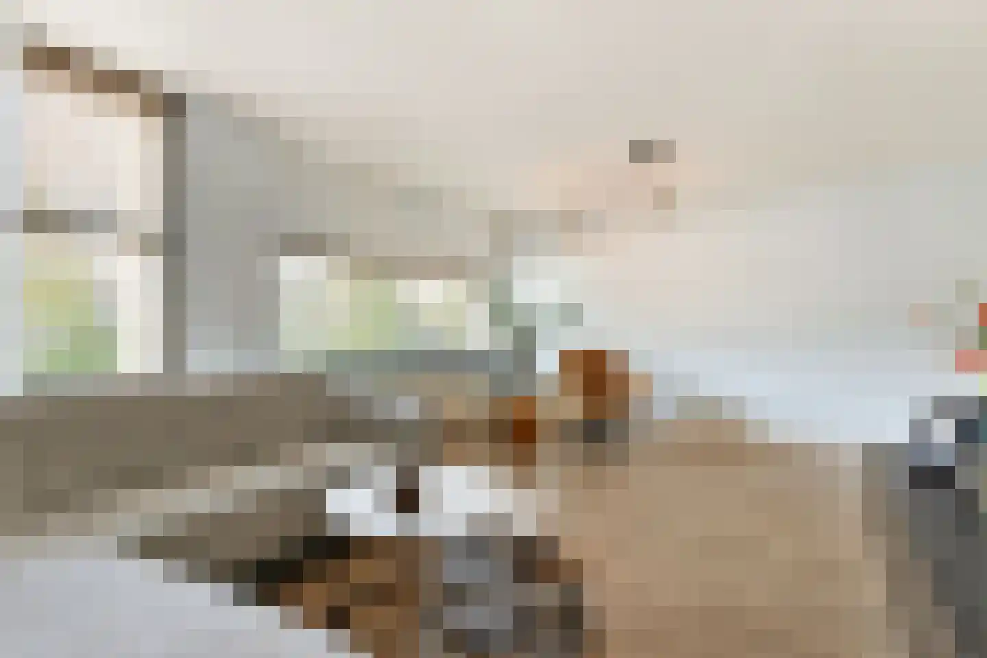 Farin 27 Geldrop thumbnail 8