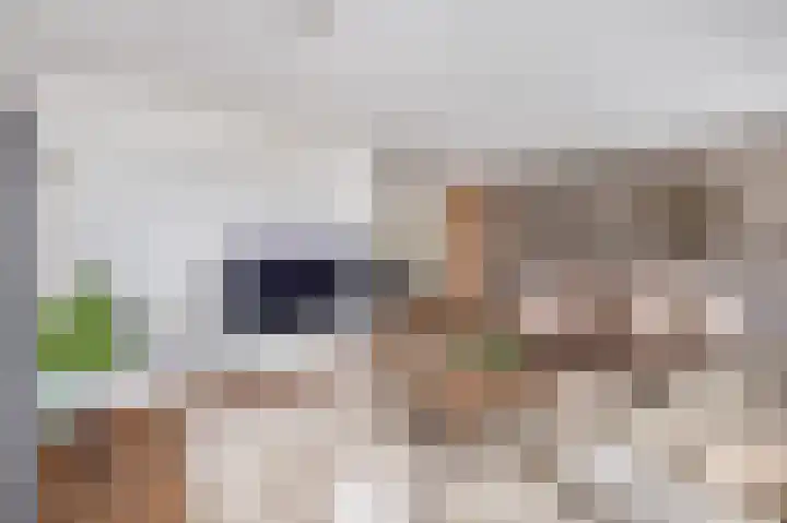 Farin 9 Geldrop thumbnail 10